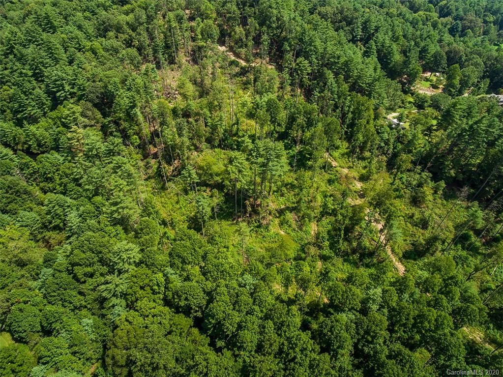 Tbd Hamilton Road, Unit NONE Penrose, NC 28766 - Photo 10 of 12