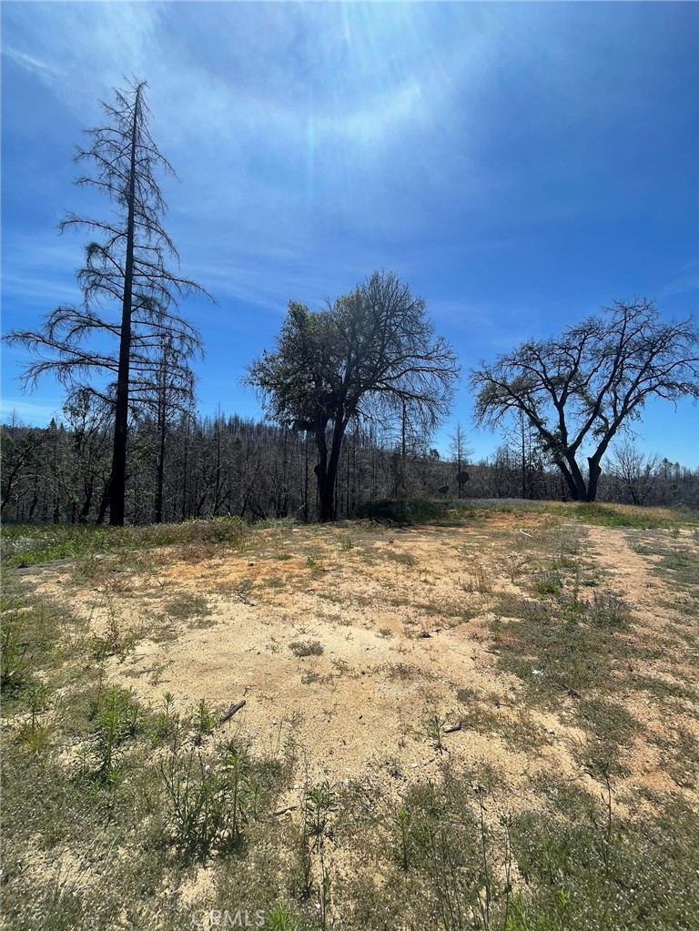 180 Mirage Lake Road Berry Creek, CA 95916 - Photo 3 of 14