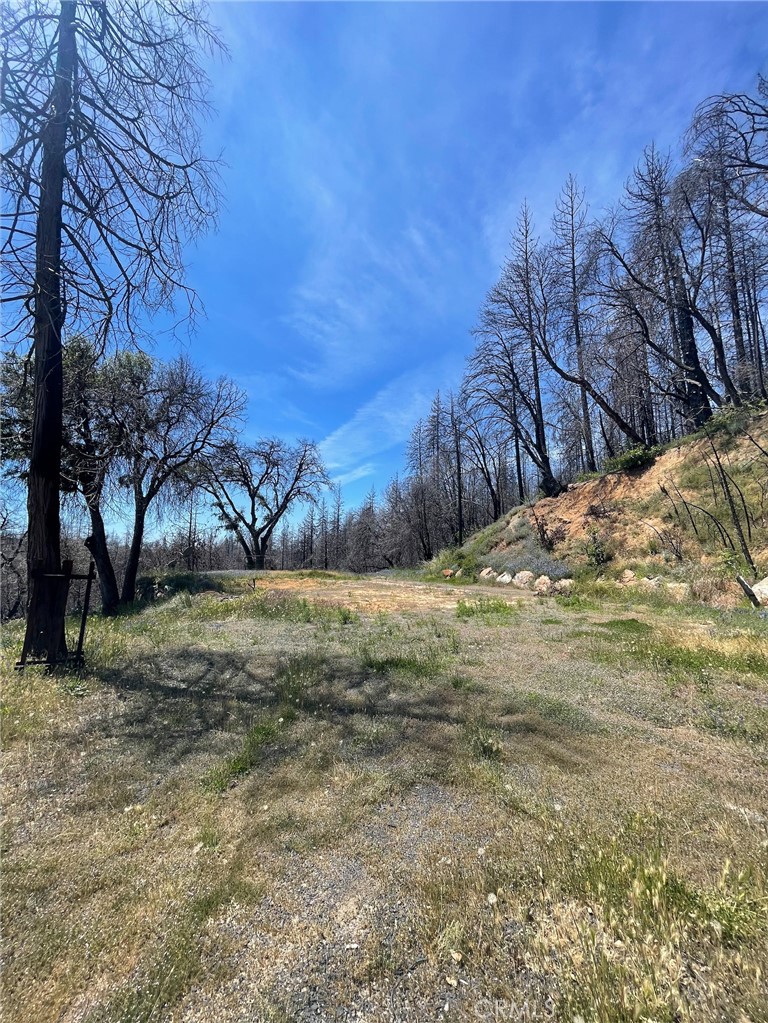 180 Mirage Lake Road Berry Creek, CA 95916 - Photo 4 of 14