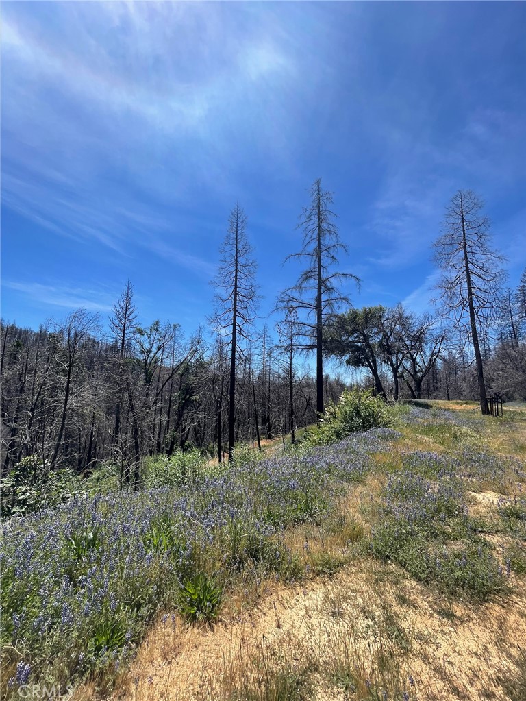 180 Mirage Lake Road Berry Creek, CA 95916 - Photo 6 of 14
