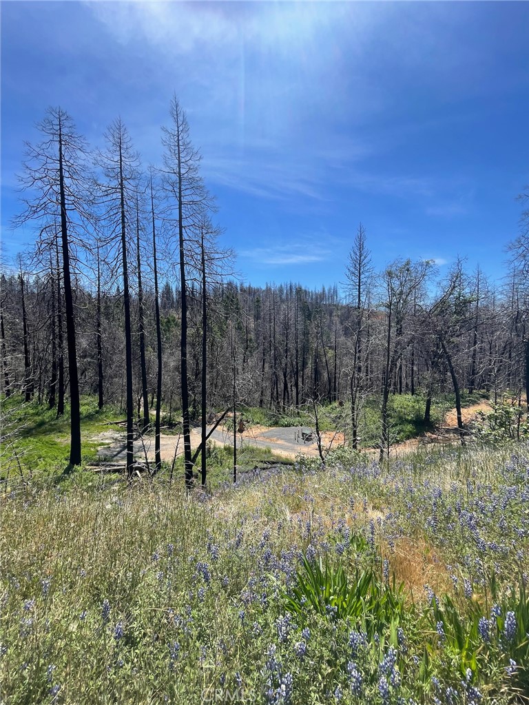 180 Mirage Lake Road Berry Creek, CA 95916 - Photo 7 of 14