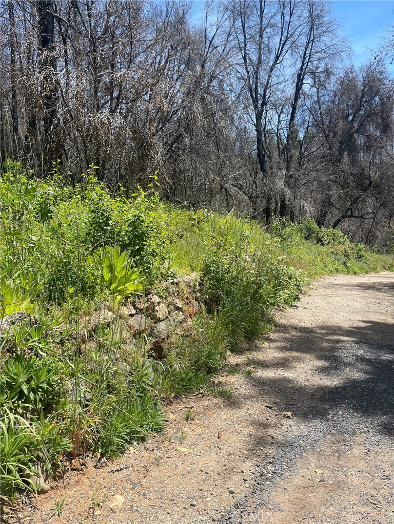180 Mirage Lake Road Berry Creek, CA 95916 - Photo 8 of 14