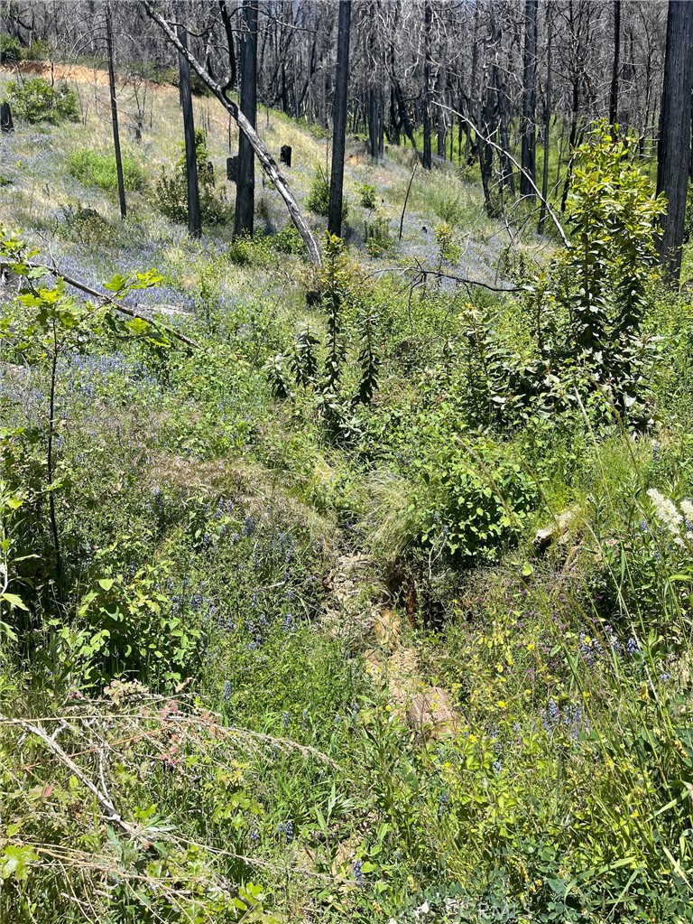 180 Mirage Lake Road Berry Creek, CA 95916 - Photo 10 of 14
