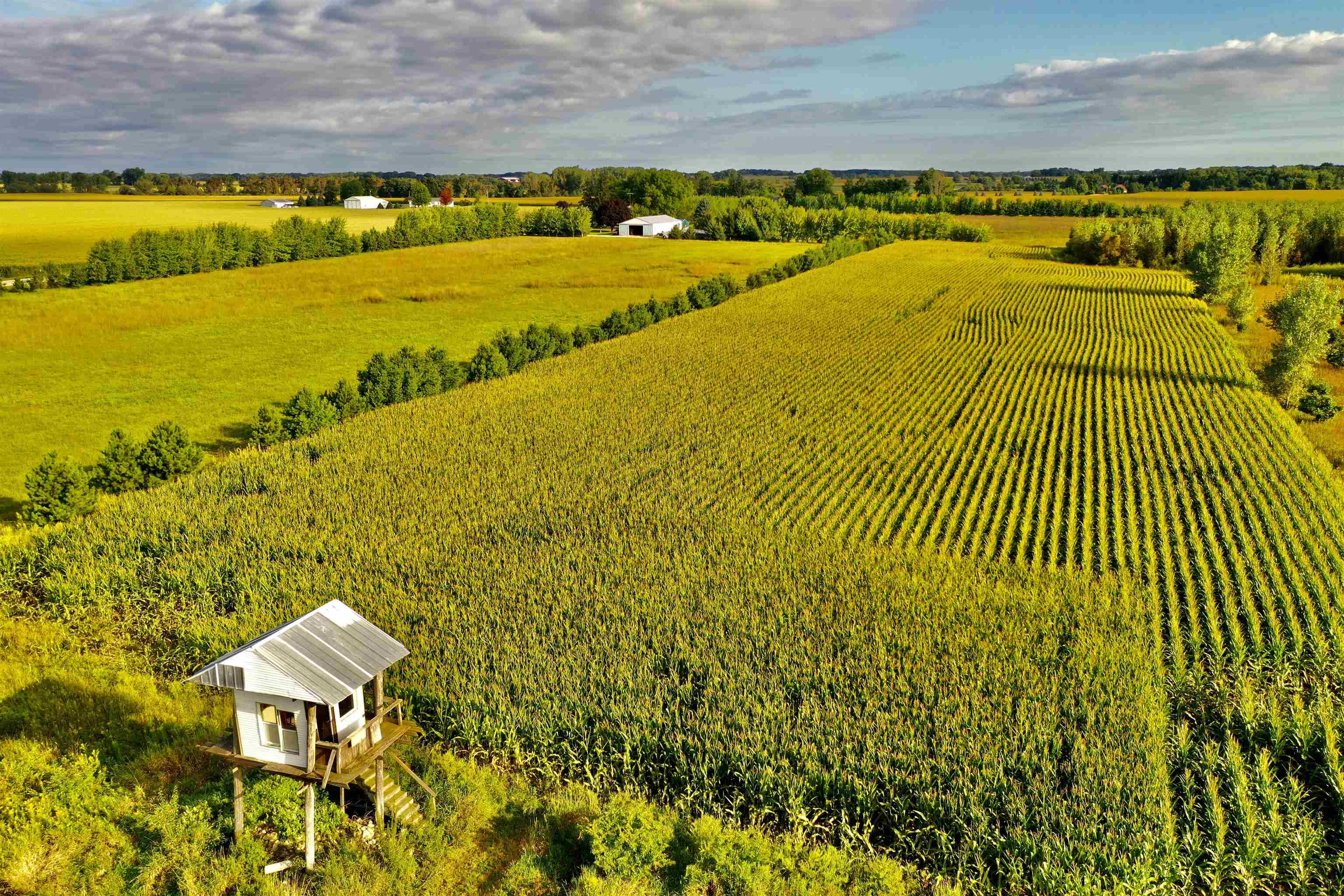 N5449 County M Brandon, WI 53919 - Photo 11 of 70