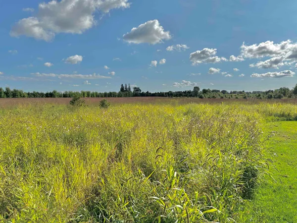 $924,900 | N5449 County M, Brandon, WI 53919