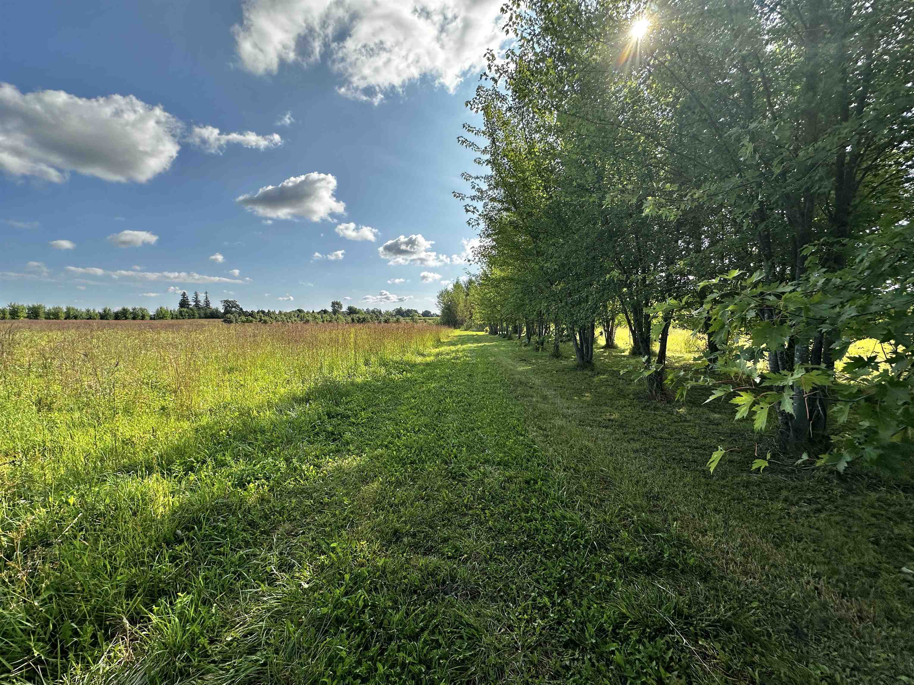 N5449 County M Brandon, WI 53919 - Photo 21 of 70