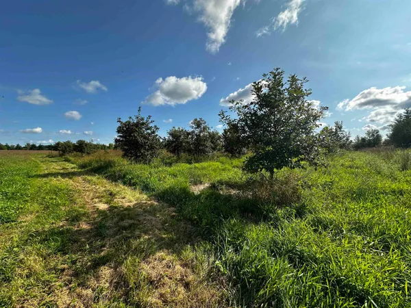 $924,900 | N5449 County M, Brandon, WI 53919