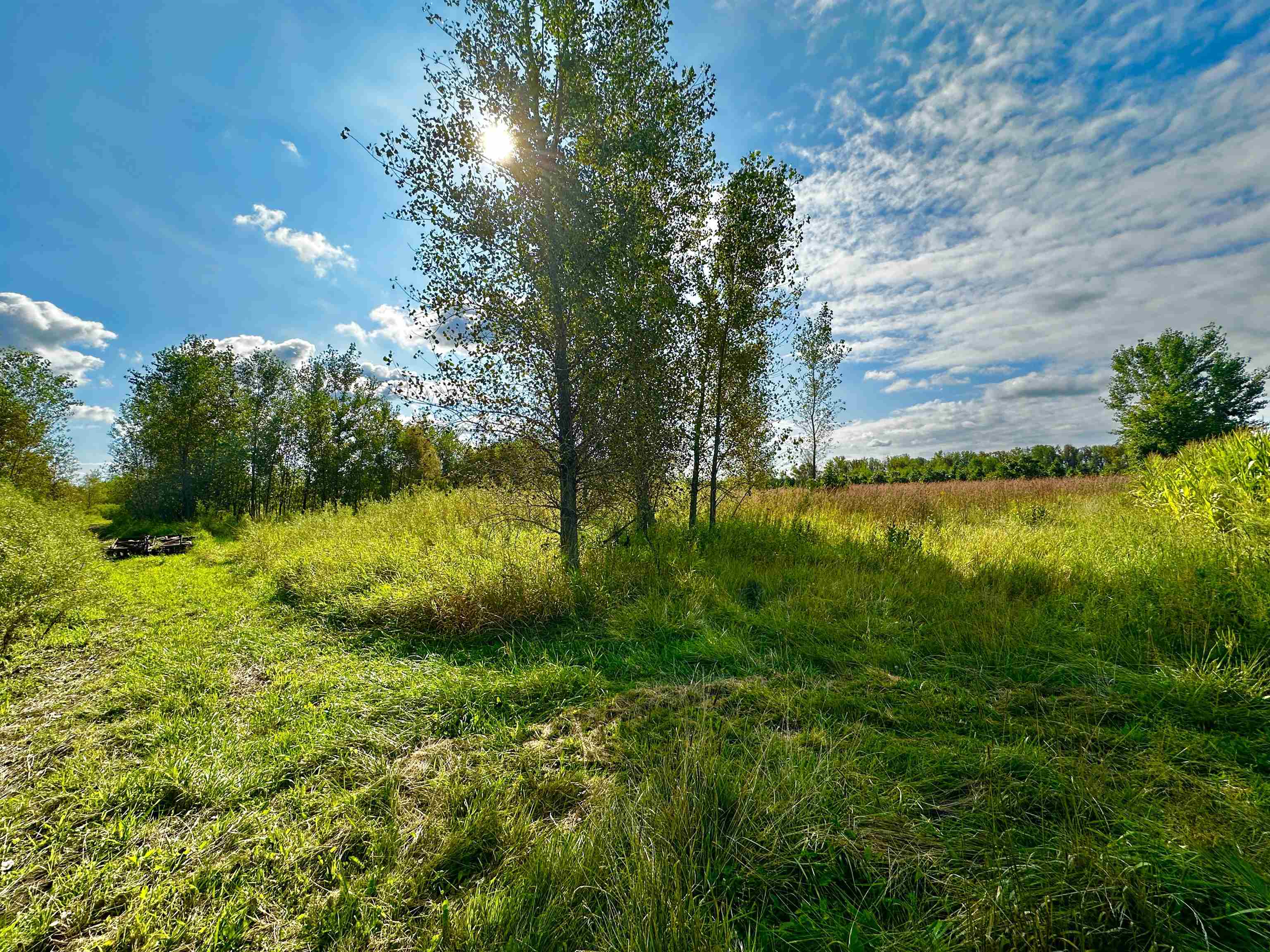 N5449 County M Brandon, WI 53919 - Photo 24 of 70