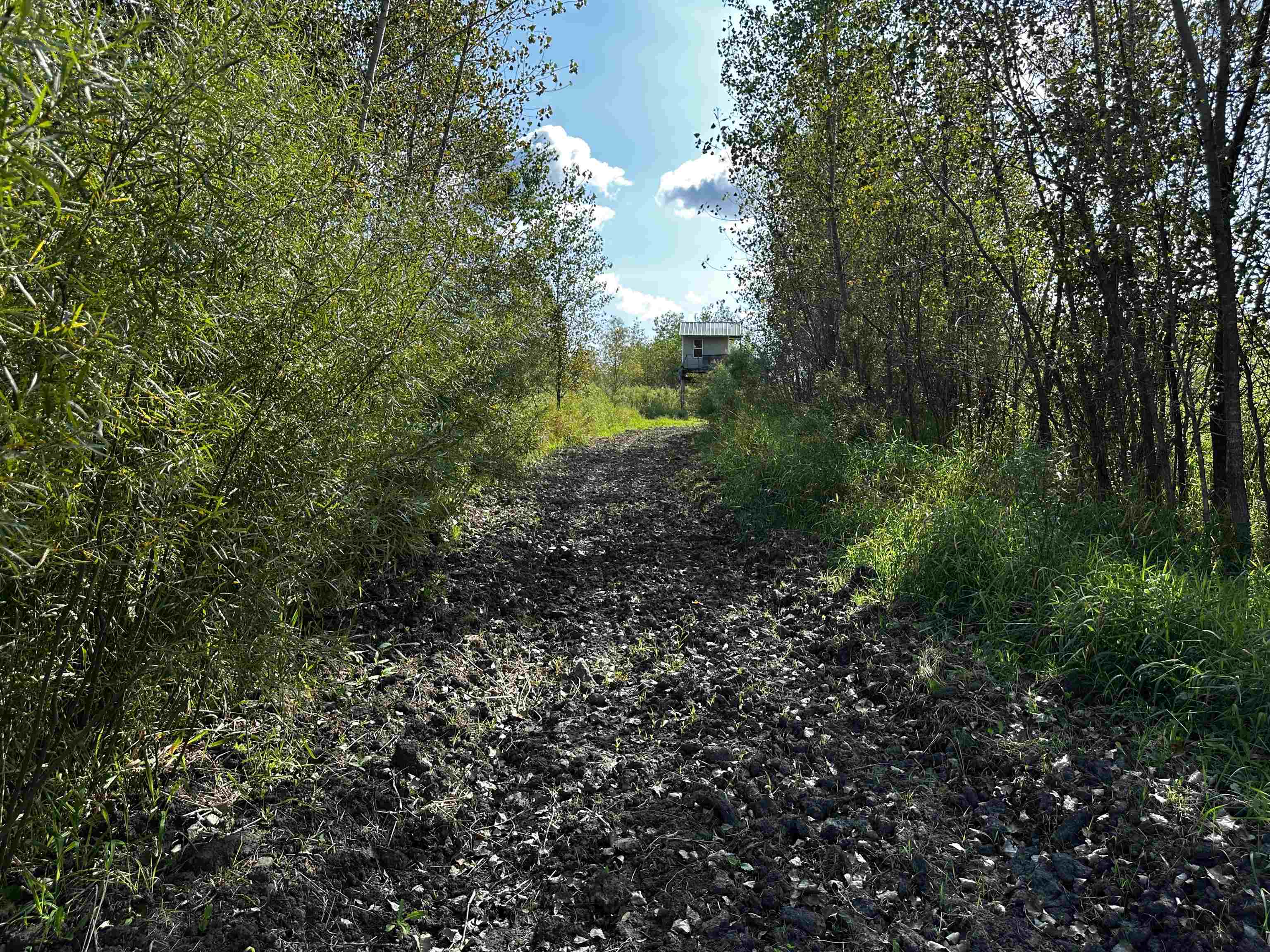 N5449 County M Brandon, WI 53919 - Photo 25 of 70