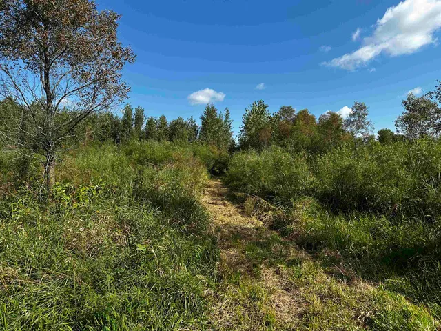 $924,900 | N5449 County M, Brandon, WI 53919