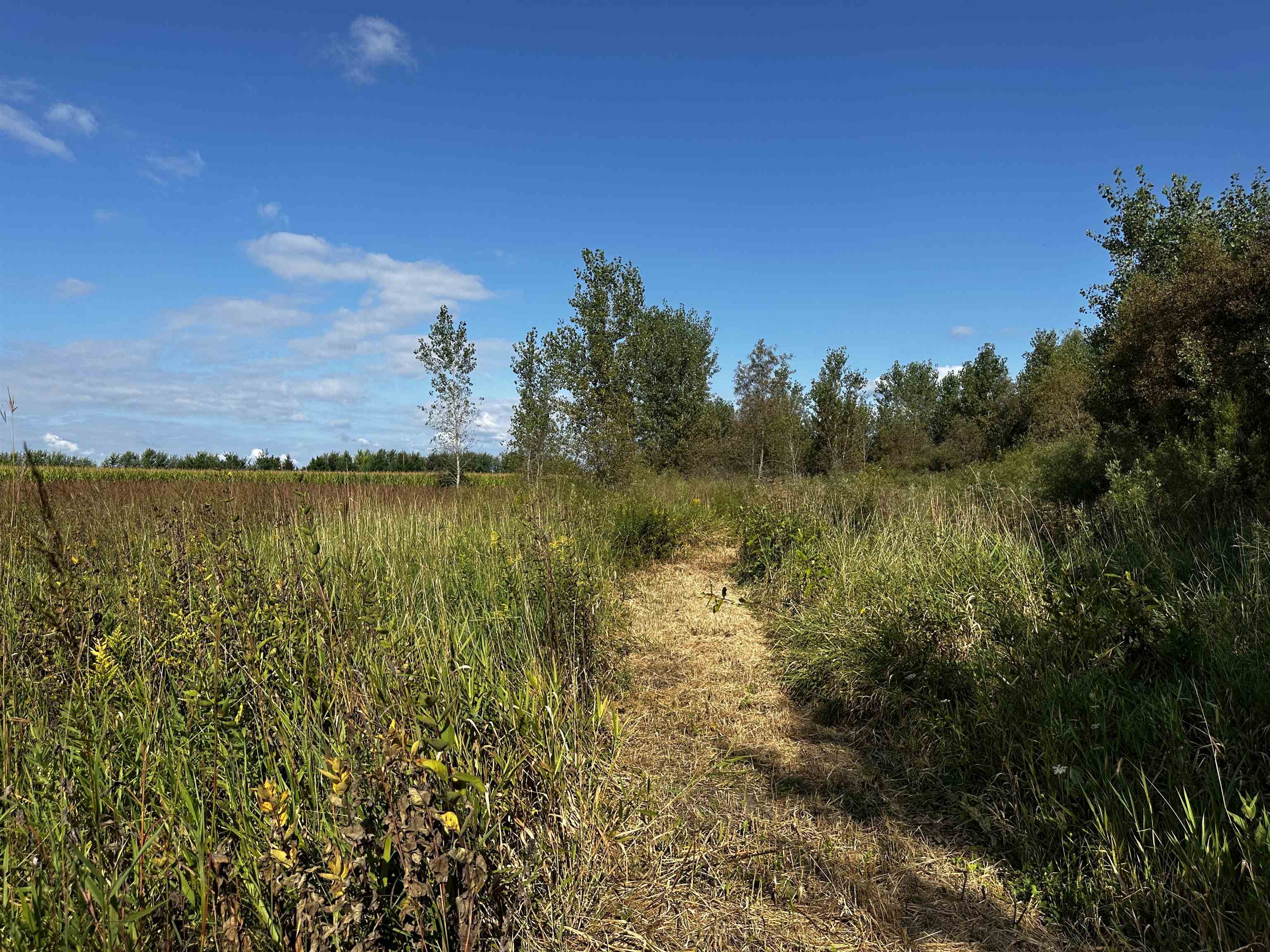 N5449 County M Brandon, WI 53919 - Photo 32 of 70