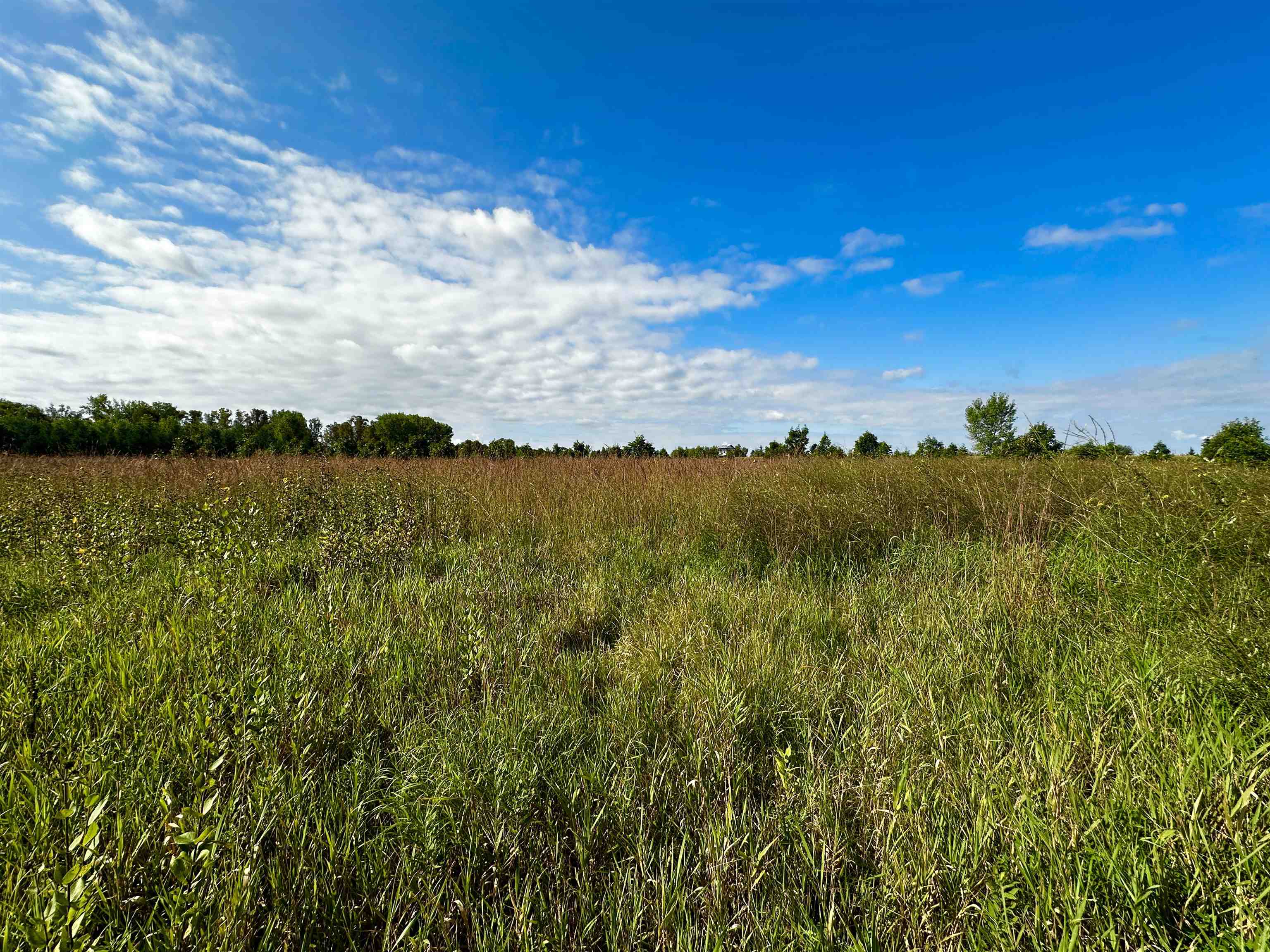 N5449 County M Brandon, WI 53919 - Photo 33 of 70