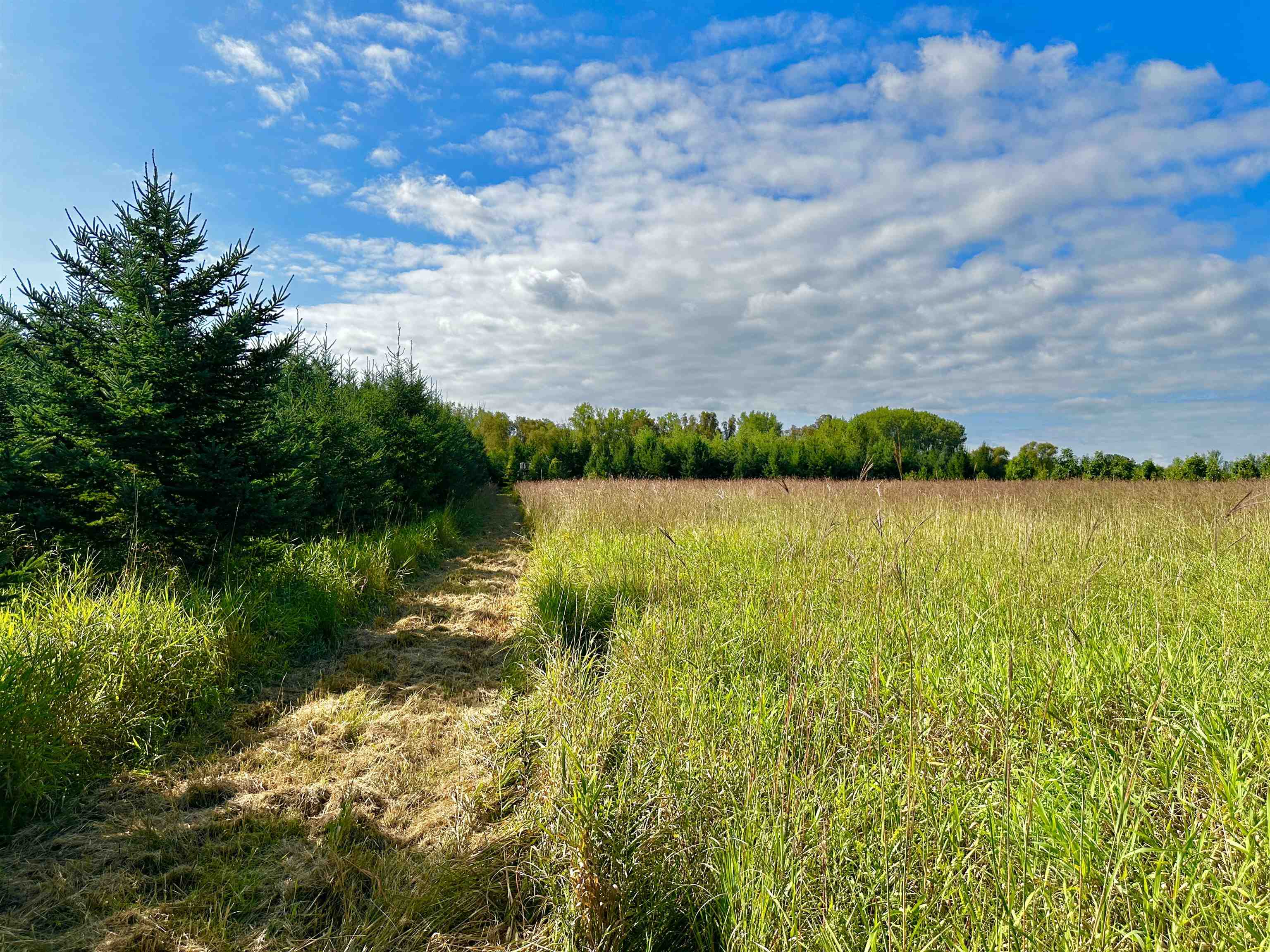 N5449 County M Brandon, WI 53919 - Photo 36 of 70