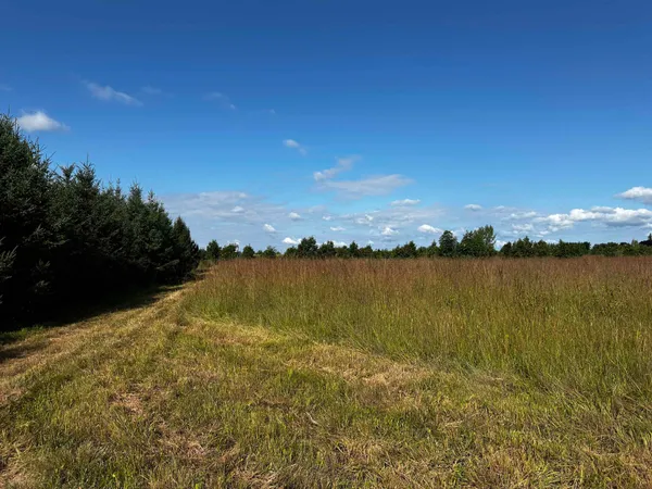 $924,900 | N5449 County M, Brandon, WI 53919