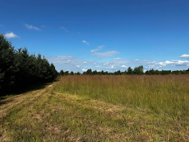 $924,900 | N5449 County M, Brandon, WI 53919