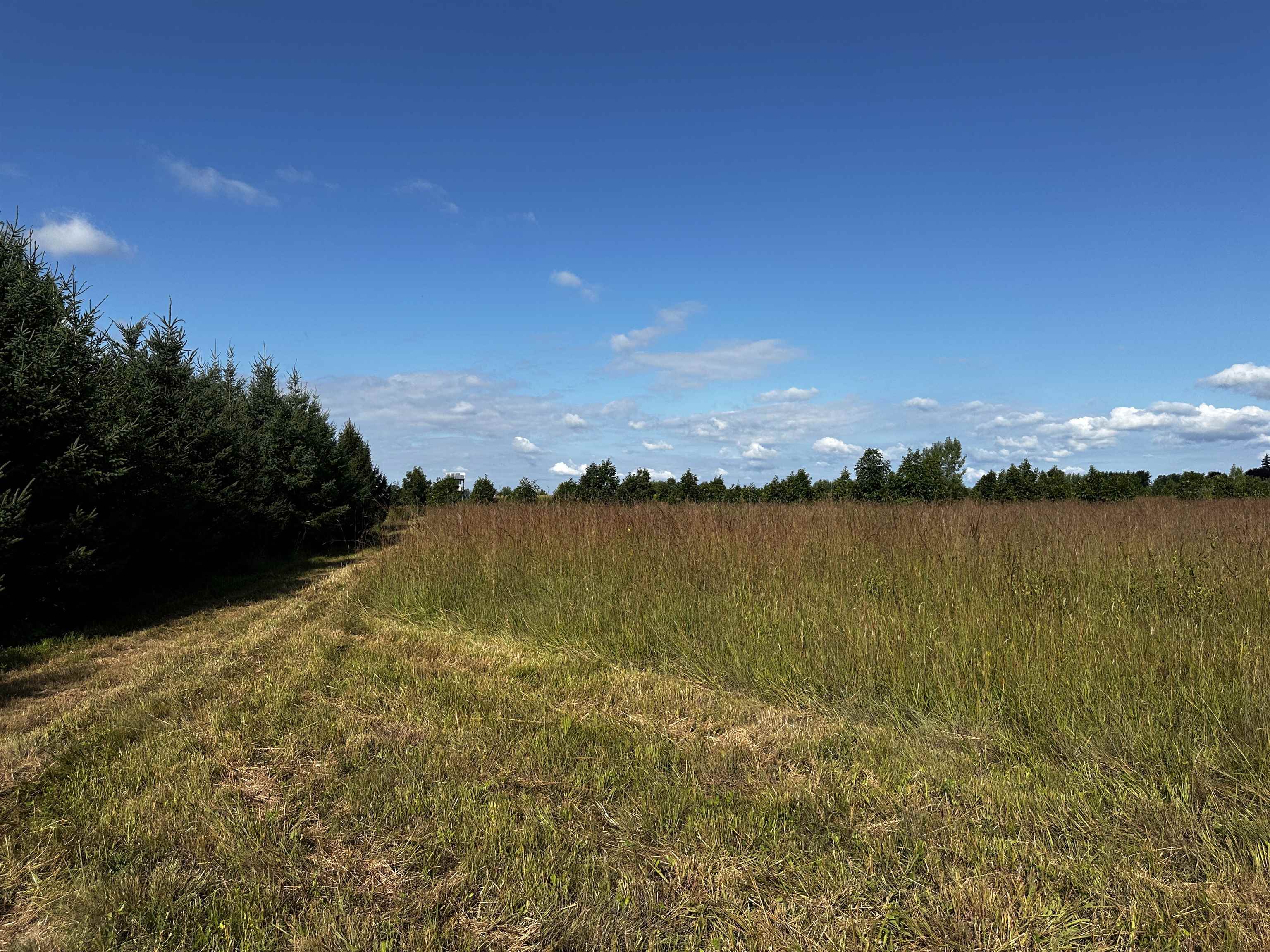 N5449 County M Brandon, WI 53919 - Photo 38 of 70