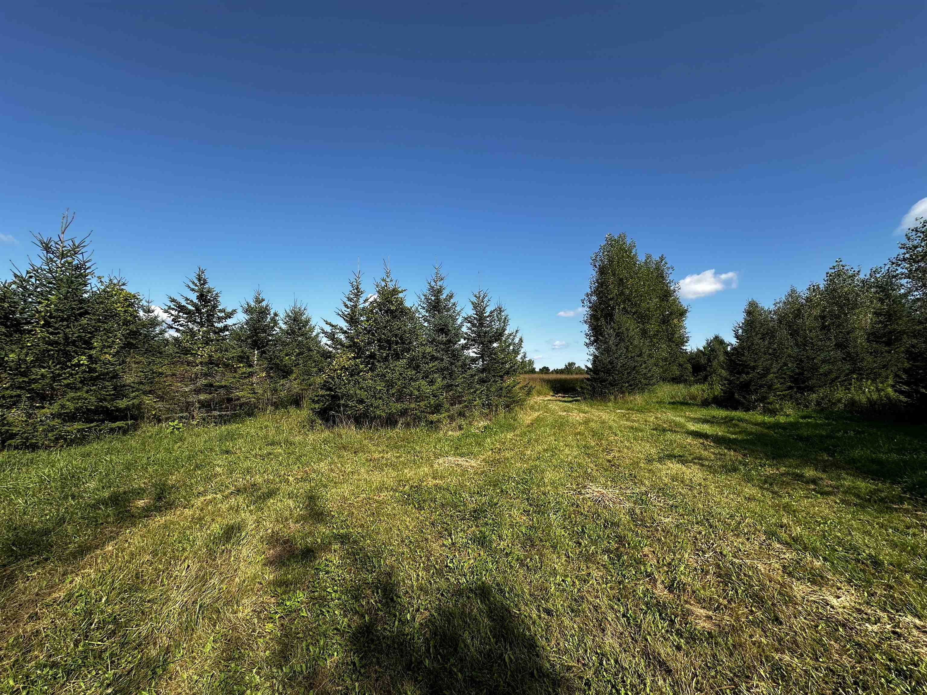 N5449 County M Brandon, WI 53919 - Photo 40 of 70