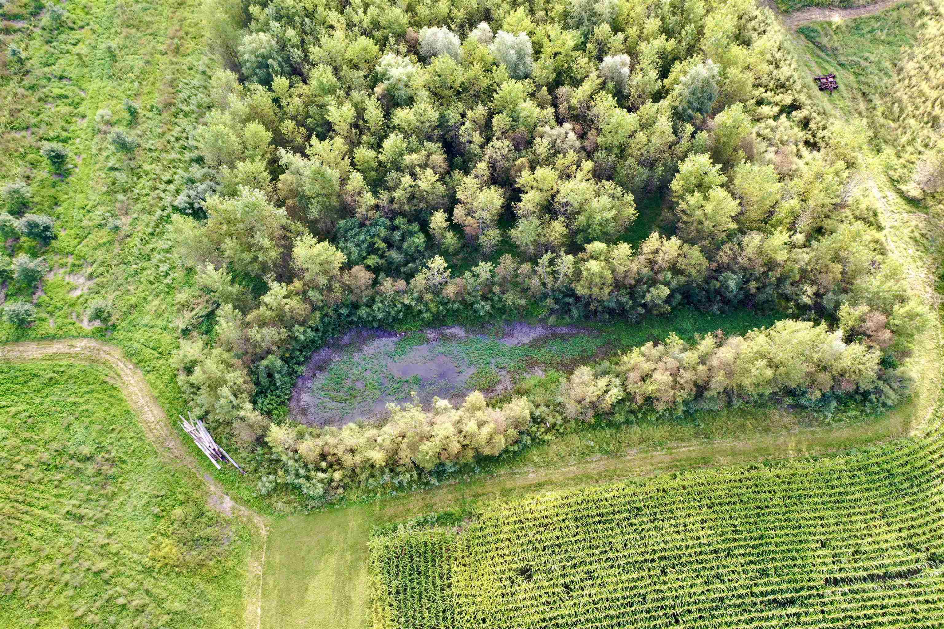 N5449 County M Brandon, WI 53919 - Photo 4 of 70