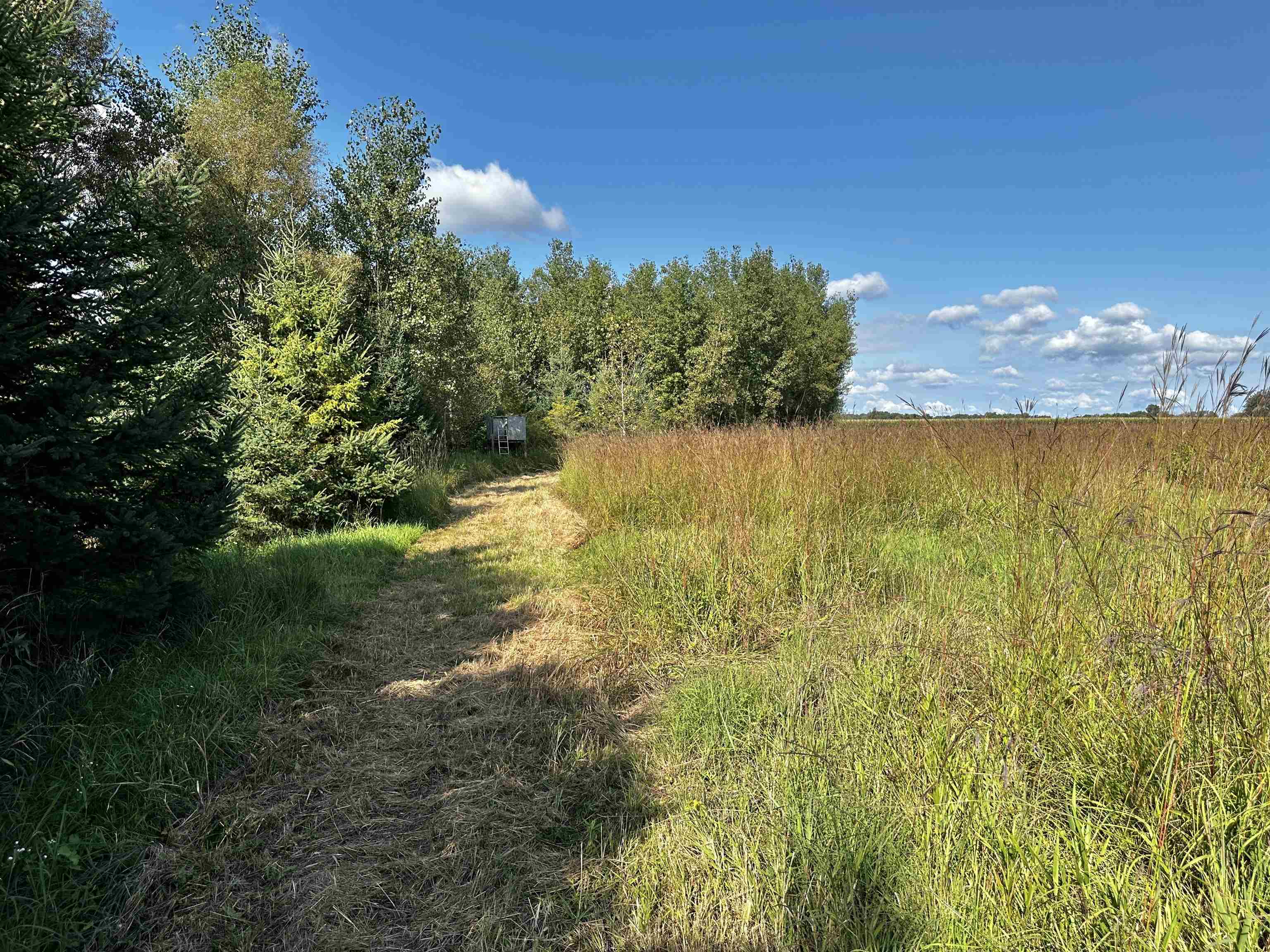 N5449 County M Brandon, WI 53919 - Photo 43 of 70