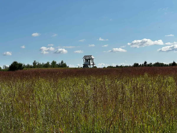 $924,900 | N5449 County M, Brandon, WI 53919