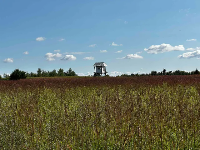 $924,900 | N5449 County M, Brandon, WI 53919