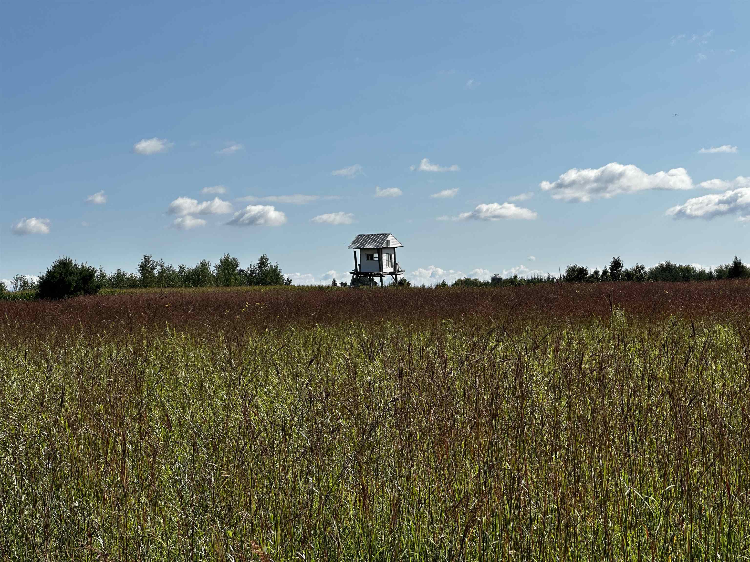 N5449 County M Brandon, WI 53919 - Photo 44 of 70
