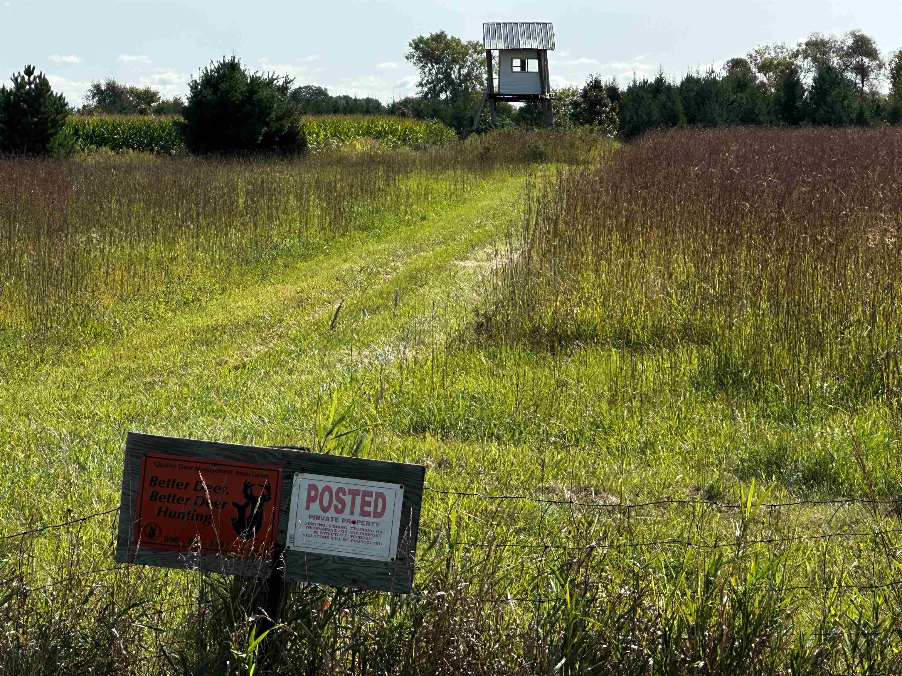 N5449 County M Brandon, WI 53919 - Photo 46 of 70