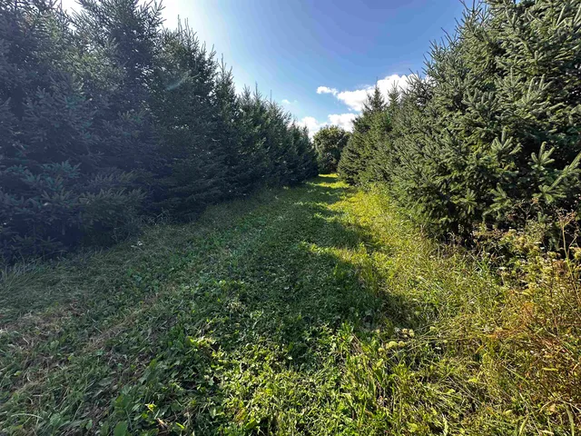 $924,900 | N5449 County M, Brandon, WI 53919