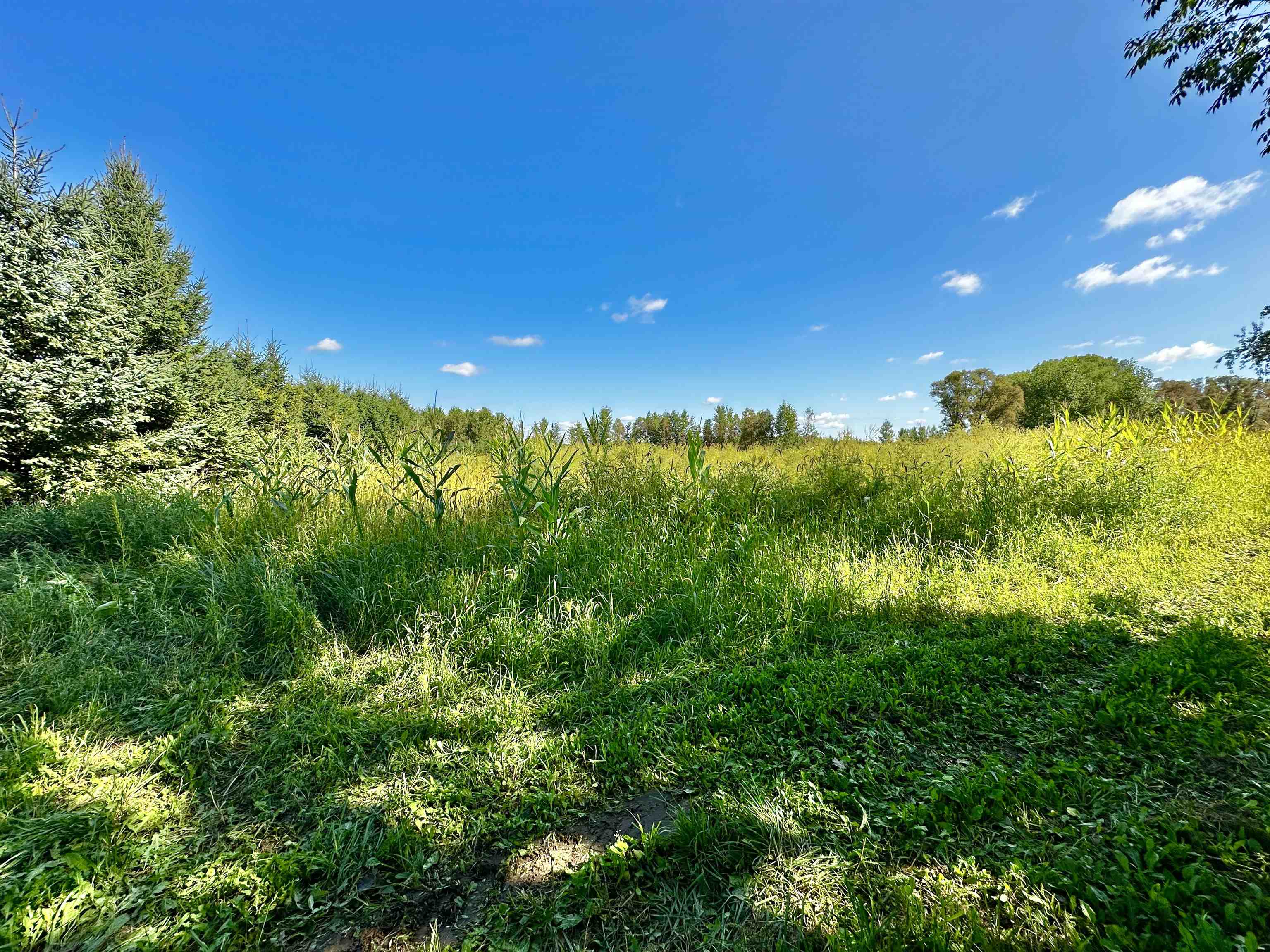 N5449 County M Brandon, WI 53919 - Photo 49 of 70