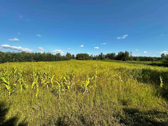 $924,900 | N5449 County M, Brandon, WI 53919