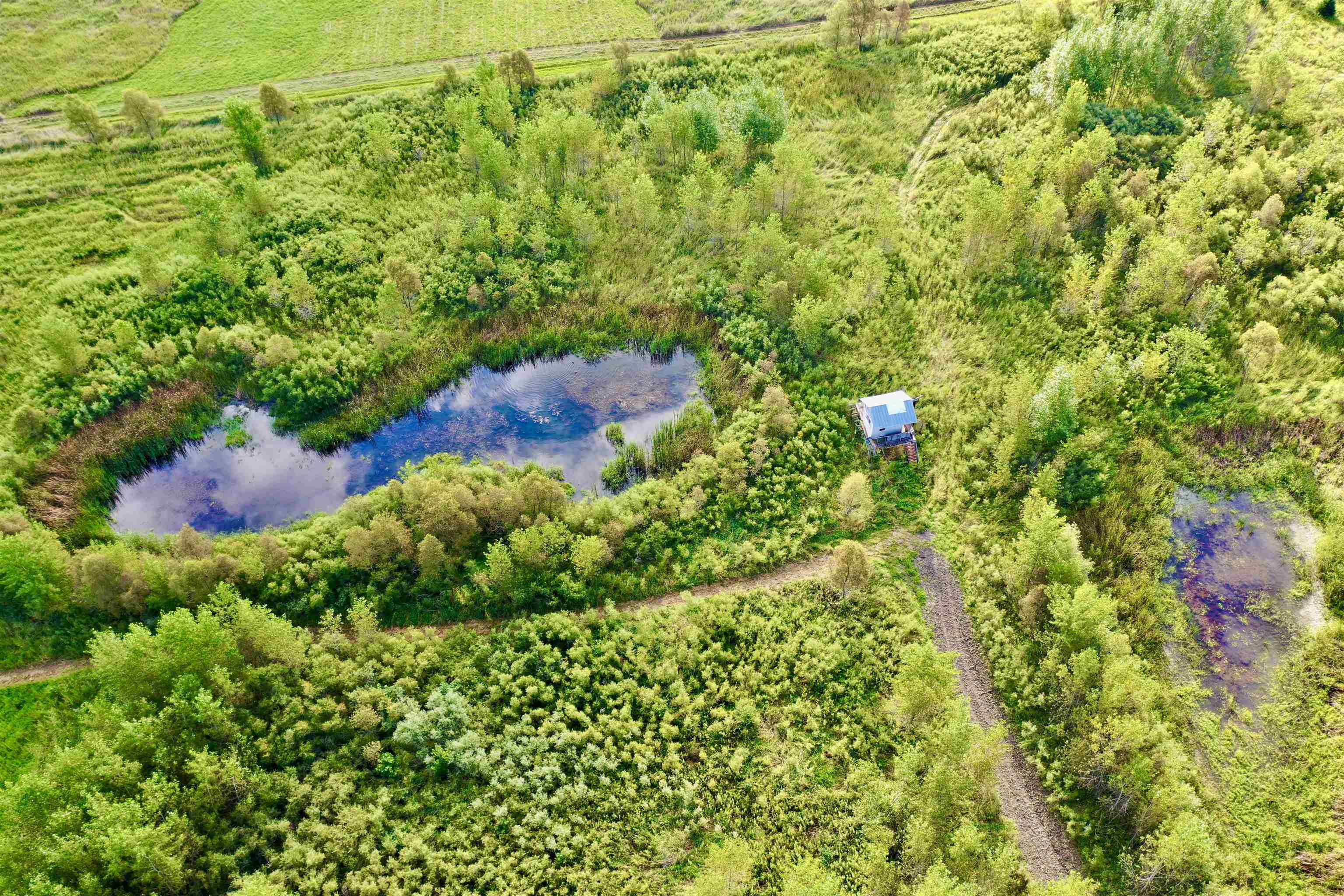 N5449 County M Brandon, WI 53919 - Photo 5 of 70