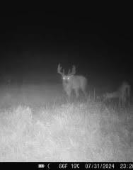 N5449 County M Brandon, WI 53919 - Photo 53 of 70