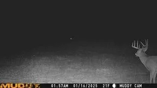 $924,900 | N5449 County M, Brandon, WI 53919