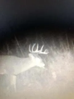 $924,900 | N5449 County M, Brandon, WI 53919