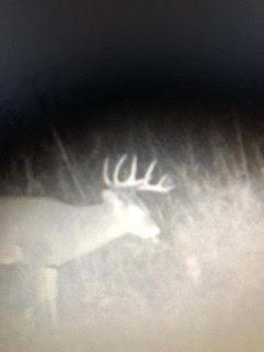 N5449 County M Brandon, WI 53919 - Photo 55 of 70