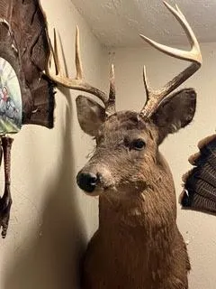 $924,900 | N5449 County M, Brandon, WI 53919