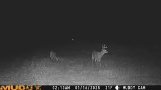 $924,900 | N5449 County M, Brandon, WI 53919