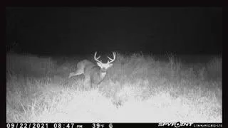 $924,900 | N5449 County M, Brandon, WI 53919