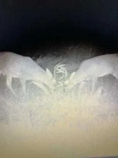 $924,900 | N5449 County M, Brandon, WI 53919