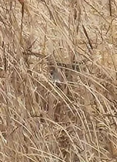 $924,900 | N5449 County M, Brandon, WI 53919