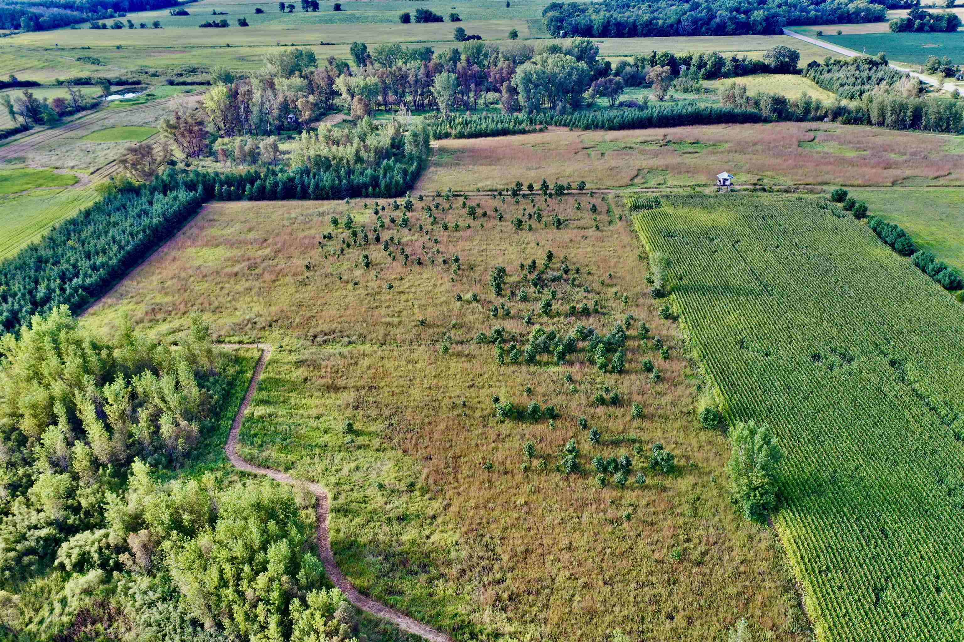 N5449 County M Brandon, WI 53919 - Photo 6 of 70