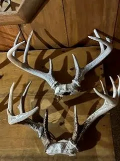 $924,900 | N5449 County M, Brandon, WI 53919