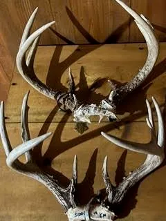 $924,900 | N5449 County M, Brandon, WI 53919