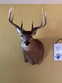 $924,900 | N5449 County M, Brandon, WI 53919