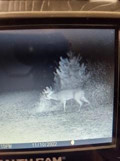 N5449 County M Brandon, WI 53919 - Photo 66 of 70