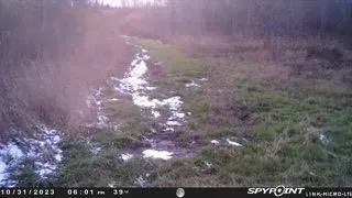 $924,900 | N5449 County M, Brandon, WI 53919