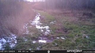 N5449 County M Brandon, WI 53919 - Photo 67 of 70