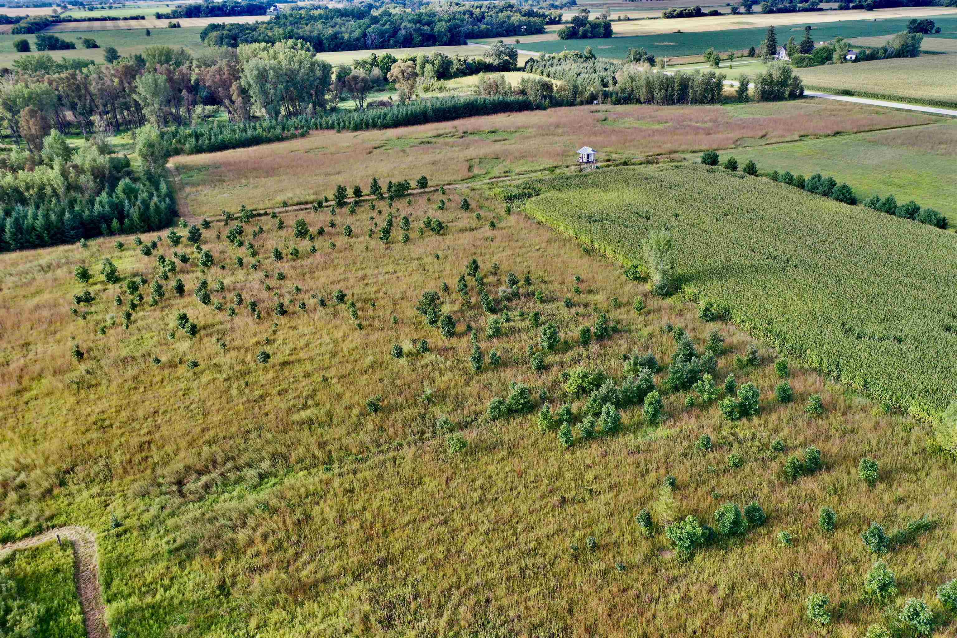 N5449 County M Brandon, WI 53919 - Photo 7 of 70