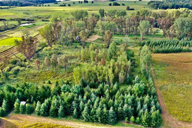 $924,900 | N5449 County M, Brandon, WI 53919