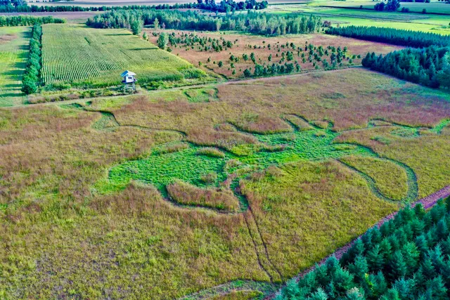 $924,900 | N5449 County M, Brandon, WI 53919